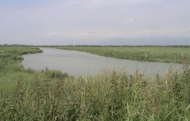 LES MOLIERES SALEE-somme