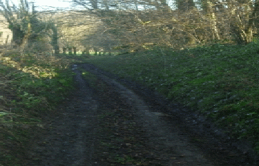 AUTOUR DE LUCHEUX (GR 124)-somme