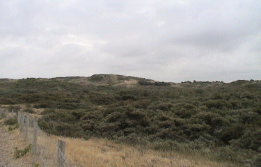 Sentier du Royon-somme