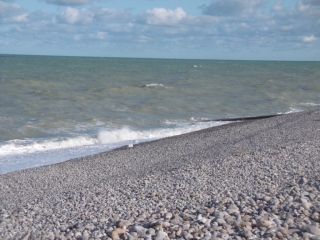 CAYEUX SUR MER - PLAGES DE GALETS - RESERVE HABLE D AUTH-somme