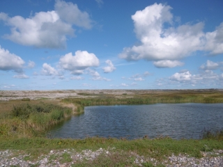 CAYEUX SUR MER - PLAGES DE GALETS - RESERVE HABLE D AUTH-somme