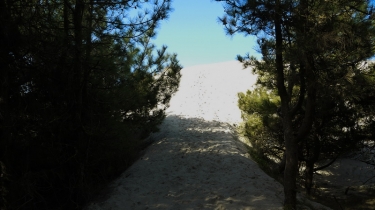 TOUR DU DOMAINE DU MARQUENTERRE - BAIE DE SOMME-somme