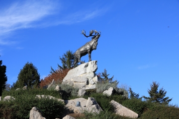 AUCHONVILLERS  - LE CIRCUIT DU CARIBOU-somme