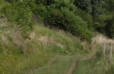 PONT-NOYELLES  - LE PASSAGE AUX LOUPS-somme