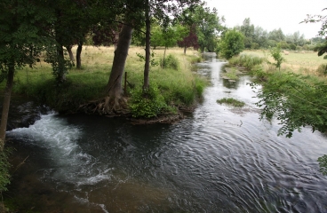 PONT-NOYELLES  - LE PASSAGE AUX LOUPS-somme