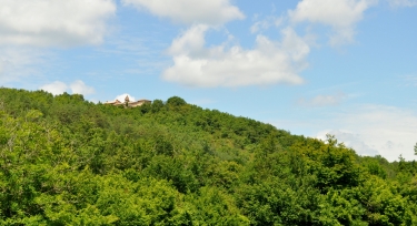ENTRE VIGNES ET BOIS-tarn