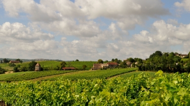 BALADE AUTOUR DE LAMOTHE-tarn