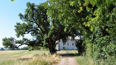 PROMENADE AUTOUR DE LAMOTHE-tarn