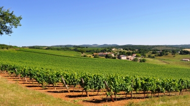 ITZAC - GRESIGNE-tarn