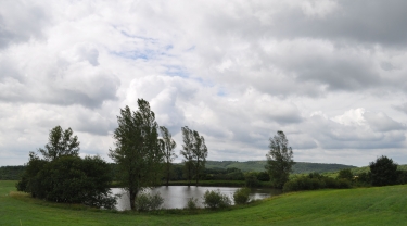 VAOUR - GRESIGNE -tarn