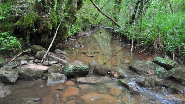 VAOUR - GRESIGNE -tarn