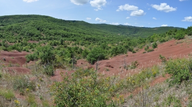 LES DUNES DE MARAVAL-tarn