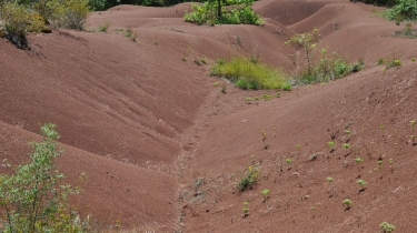 LES DUNES DE MARAVAL-tarn