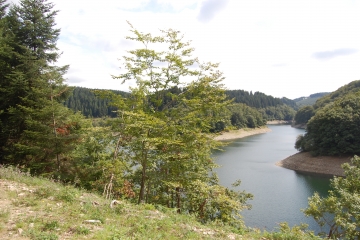 LAC DES CAMMAZES-tarn