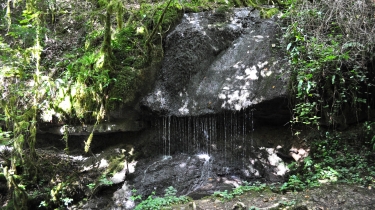 ENTRE SAINT-MICHEL-DE-VAX ET ROUSSAYROLLES-tarn