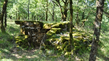ENTRE SAINT-MICHEL-DE-VAX ET ROUSSAYROLLES-tarn