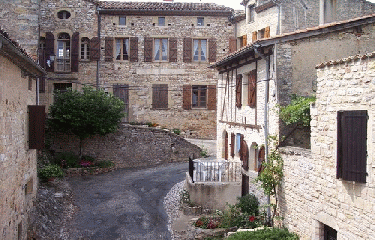 FORET DE GRESIGNE-tarn