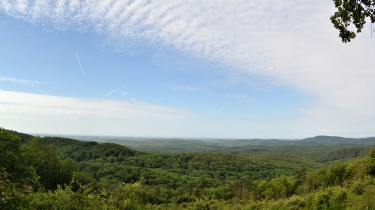 CHEMIN DE LIVERSENC-tarn