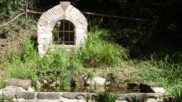 CHEMIN DE LIVERSENC-tarn