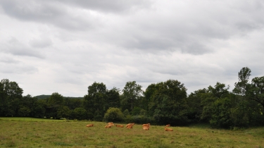 FONT DE LA BARRE-tarn