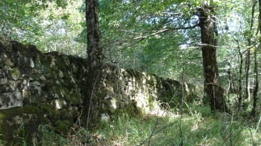 FONT DE LA BARRE-tarn