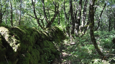 HAUTE-SERRE - FONT DEL FIGUET-tarn