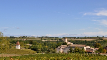 AU PAYS DES PIGEONNIERS-tarn