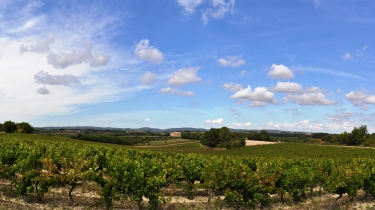 CAHUZAC-SUR-VERE (2)-tarn