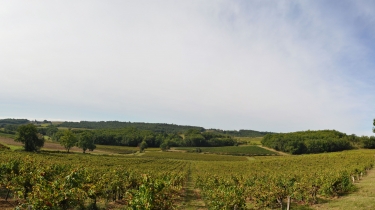 AU COEUR DE LA TOSCANE TARNAISE-tarn