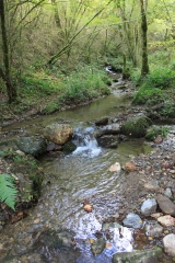 SUR LES HAUTEURS D ESCOUSSENS-tarn