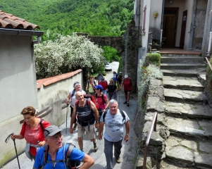 HAUTPOUL A MAZAMET-tarn