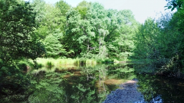 PONT DE LA TUILE-tarn