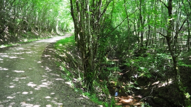 PONT DE LA TUILE-tarn