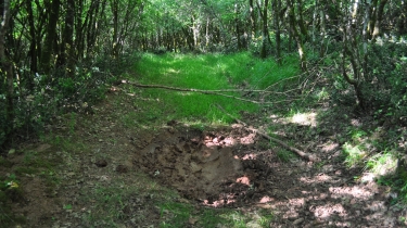 OPPIDUM SAINT CLEMENT - VERSION SAUVAGE-tarn