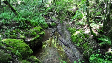 PAS DE PERILHAC (VERSION SPORTIVE)-tarn