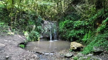 LA JANADE - VERSION LONGUE-tarn