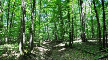 LACAPELLE - SAINT-JULIEN - OUSTRIERES-tarn