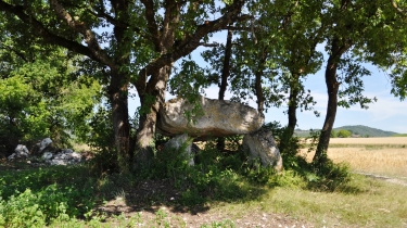 LE VERDIER - CIRCUIT DES DOLMENS-tarn