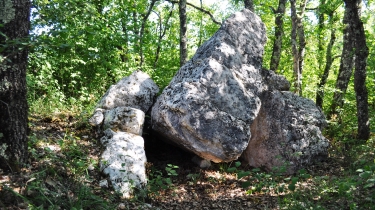 LE VERDIER - VERSION LONGUE-tarn