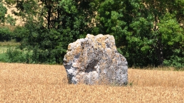 LE VERDIER - VERSION LONGUE-tarn