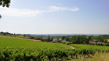 LES COTEAUX DE LA CAMPAGNE GAILLACOISE-tarn