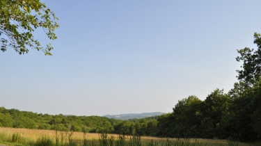 FORET DE SIVENS - GRANDE BOUCLE-tarn