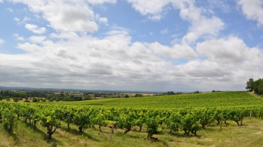 DE SIVENS A LA TOSCANE LISLOISE-tarn