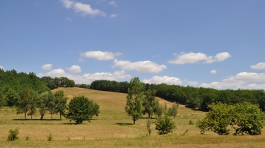 LE BOIS DE GRADILLE - VERSION FAMILIALE-tarn