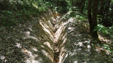LE BOIS DE GRADILLE - VERSION SPORTIVE-tarn