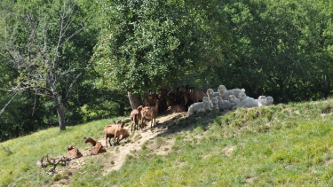 ST-PAUL-DE-MAMIAC - VALEYRES - CRETE DE LES SERRES-tarn