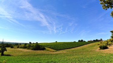LE DOLMEN DE SAINT-PAUL-tarn