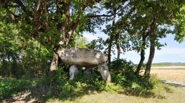 LE DOLMEN DE SAINT-PAUL-tarn