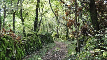 LE ROCHER DES SUQUETS-tarn