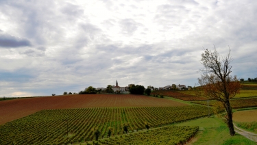 CAMPAGNAC A SAINT-BEAUZILE-tarn